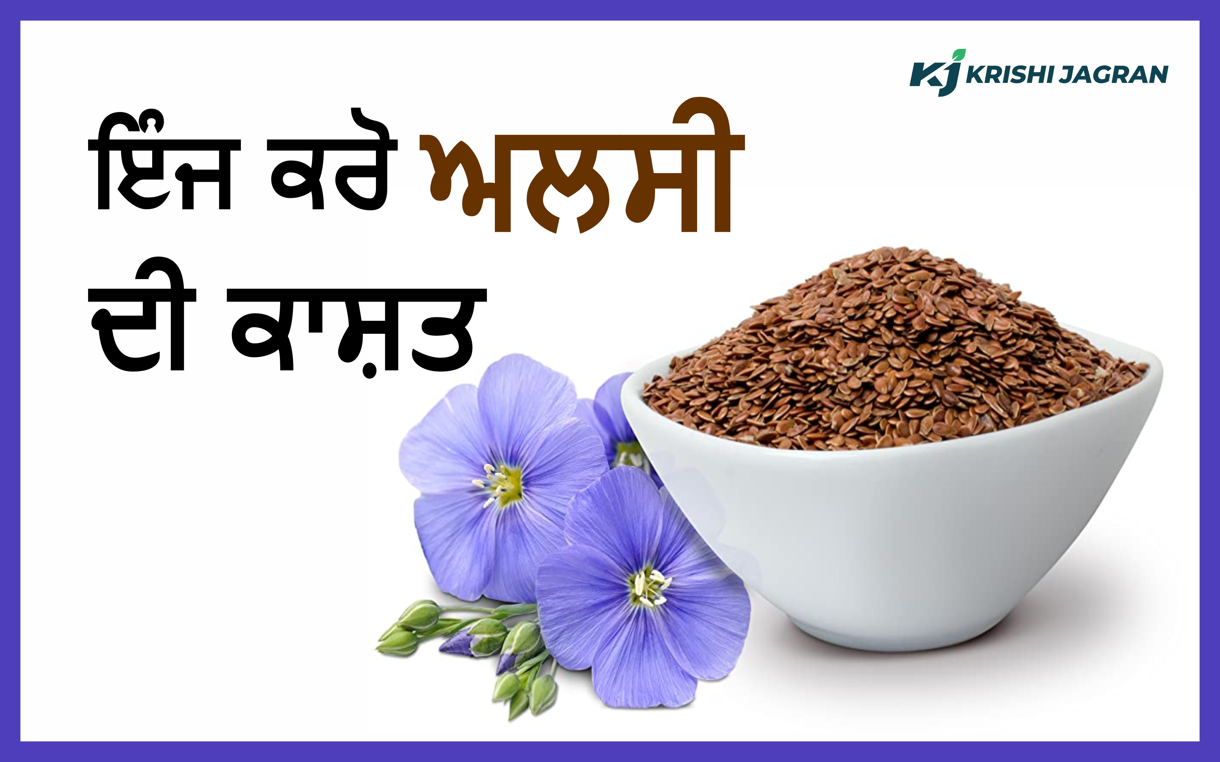 Linseed Cultivation: ਅਲਸੀ ਦੀ ਕਾਸ਼ਤ ਲਈ ਜਾਣੋ ਉੱਨਤ ਕਿਸਮਾਂ ਤੇ ਕਾਸ਼ਤ ਦੀ ਪੂਰੀ ...