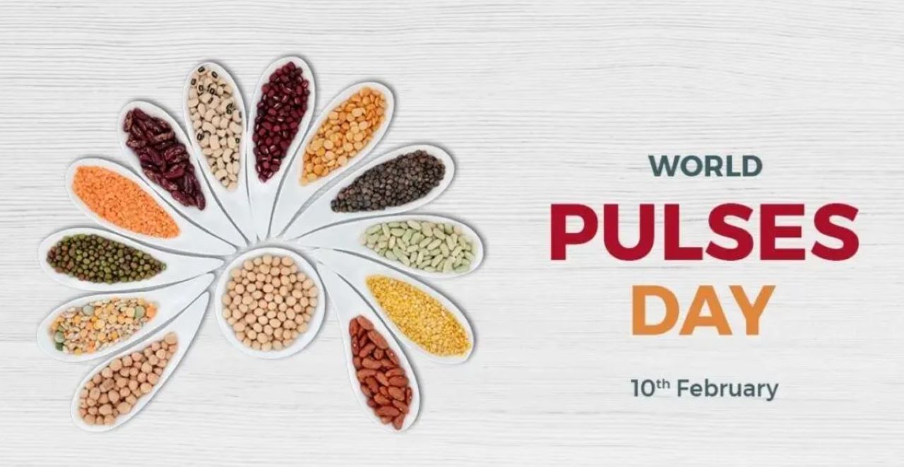 Деи 2022. World Pulses Day. World food Day 2022. World ads Day. Pulses food.