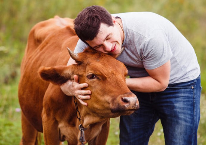 14 February ਨੂੰ ਨਹੀਂ ਮਨਾਇਆ ਜਾਵੇਗਾ 'Cow Hug Day', ਅਪੀਲ ਵਾਪਸ