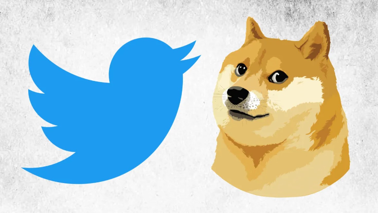 Twitter ਦੀ ਚਿੜੀਆ ਦੀ ਜਗ੍ਹਾ Doge ਕਿਉਂ?