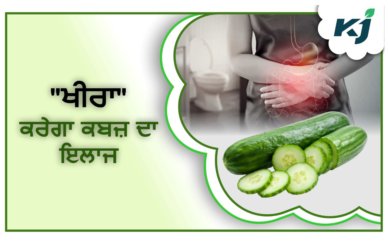 "Cucumber" ਕਬਜ਼ ਰੋਗੀਆਂ ਲਈ ਵਰਦਾਨ "Cucumber" boon for constipation patients
