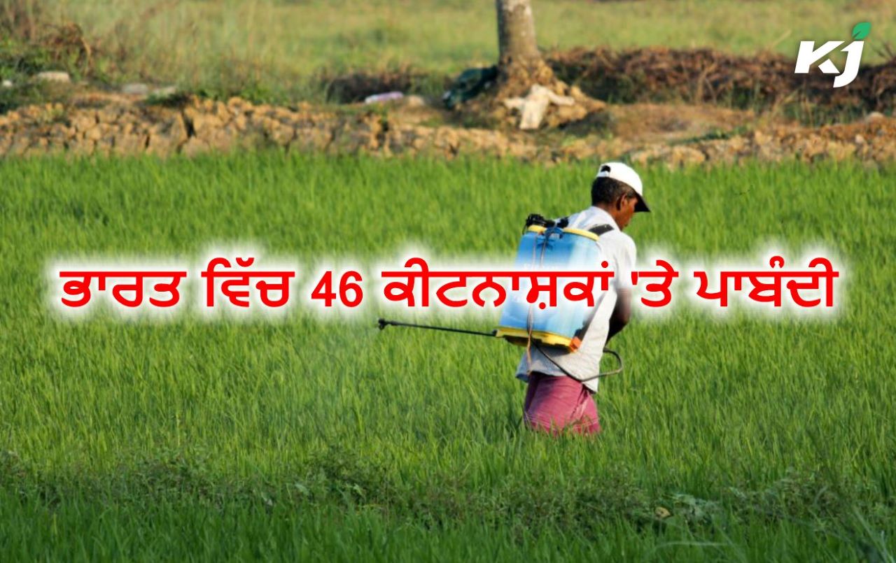 ਭਾਰਤ ਸਰਕਾਰ ਨੇ 46 Pesticides 'ਤੇ ਲਗਾਈ ਪਾਬੰਦੀ, ਵੇਖੋ ਸੂਚੀ - Government Of ...