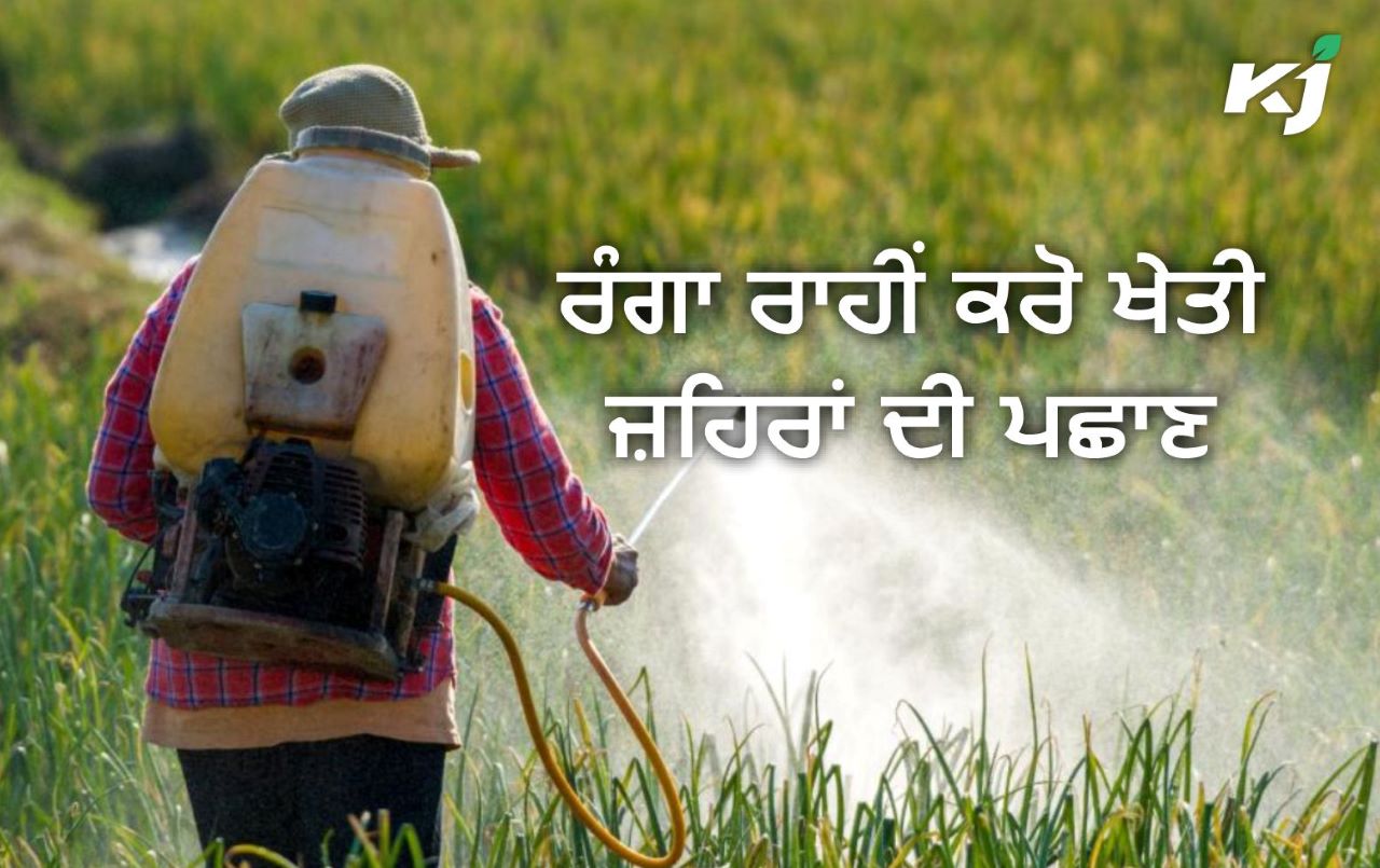 ਕਿਸਾਨਾਂ ਲਈ Danger Signal, ਰੰਗਾ ਰਾਹੀਂ ਕਰੋ Agricultural Poisons ਦੀ ਪਛਾਣ Danger signal for