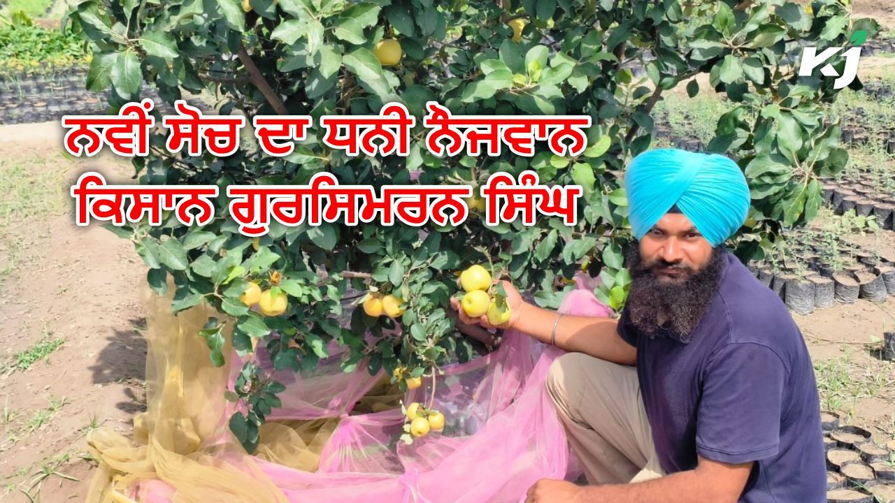Malerkotla ਦੇ ਨੌਜਵਾਨ ਕਿਸਾਨ ਨੇ ਇੱਕੋ ਮਿੱਟੀ ਤੋਂ ਲਈ 20 ਤਰ੍ਹਾਂ ਦੇ Exotic