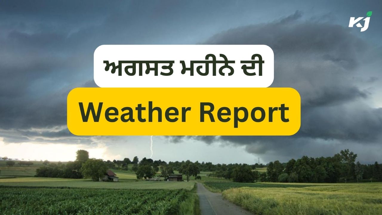 ਆ ਗਈ ਅਗਸਤ ਮਹੀਨੇ ਦੀ Weather Report, ਇਸ-ਇਸ ਦਿਨ ਮੀਂਹ ਪੈਣ ਦੇ ਆਸਾਰ - Weather