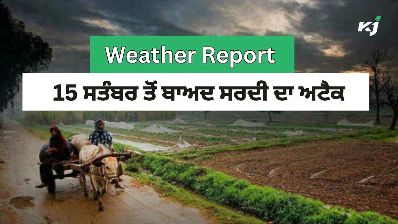 Weather Today: ਕਦੇ ਮੀਂਹ-ਕਦੇ ਗਰਮੀ, 15 ਸਤੰਬਰ ਤੋਂ ਬਾਅਦ ਸਰਦੀ, Weather ...