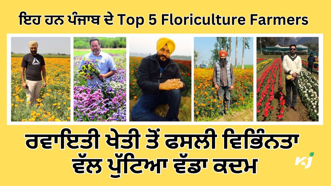 Top 5 Floriculture Farmers of Punjab