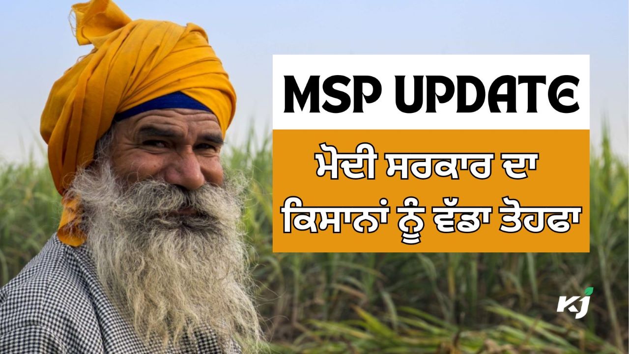 ਜਾਣੋ ਕਿਹੜੀਆਂ ਫਸਲਾਂ 'ਤੇ ਕਿੰਨੀ MSP ਮਿਲੇਗੀ?