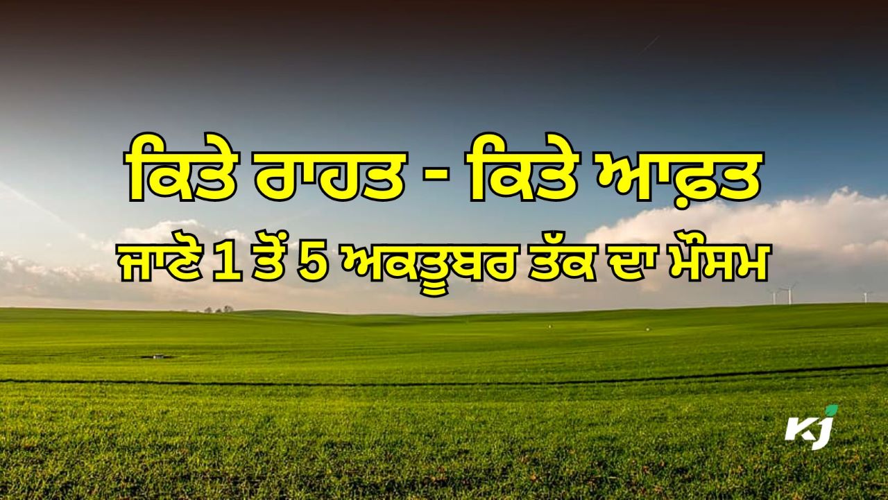 ਪੰਜਾਬ-ਹਰਿਆਣਾ-ਦਿੱਲੀ 'ਚ ਹੁੰਮਸ ਵਾਲੀ ਗਰਮੀ, ਉੱਤਰ ਪ੍ਰਦੇਸ਼ ਸਮੇਤ 12 ਸੂਬਿਆਂ 'ਚ ਬੱਦਲਵਾਈ