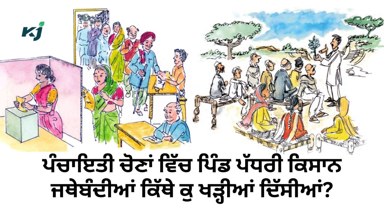 ਪੰਚਾਇਤੀ ਚੋਣਾਂ 2024