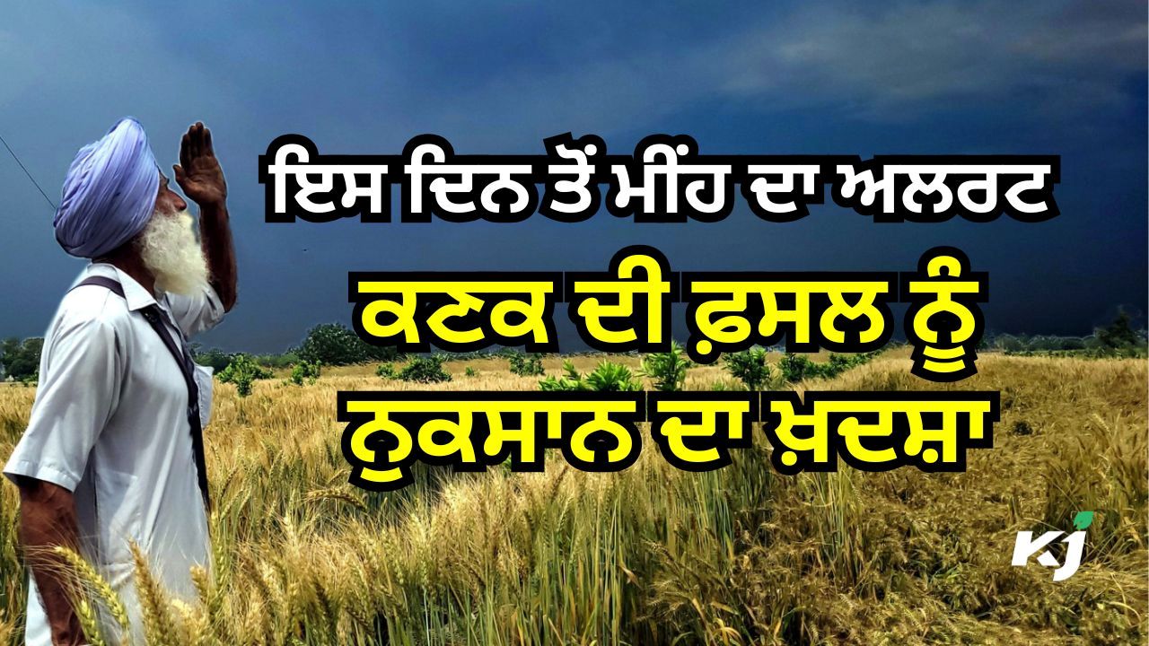 ਲੋਕਾਂ ਨੂੰ ਰਾਹਤ, ਪਰ ਕਿਸਾਨਾਂ ਲਈ ਆਫ਼ਤ ਲੋਕਾਂ ਨੂੰ ਰਾਹਤ, ਪਰ ਕਿਸਾਨਾਂ ਲਈ ਆਫ਼ਤ