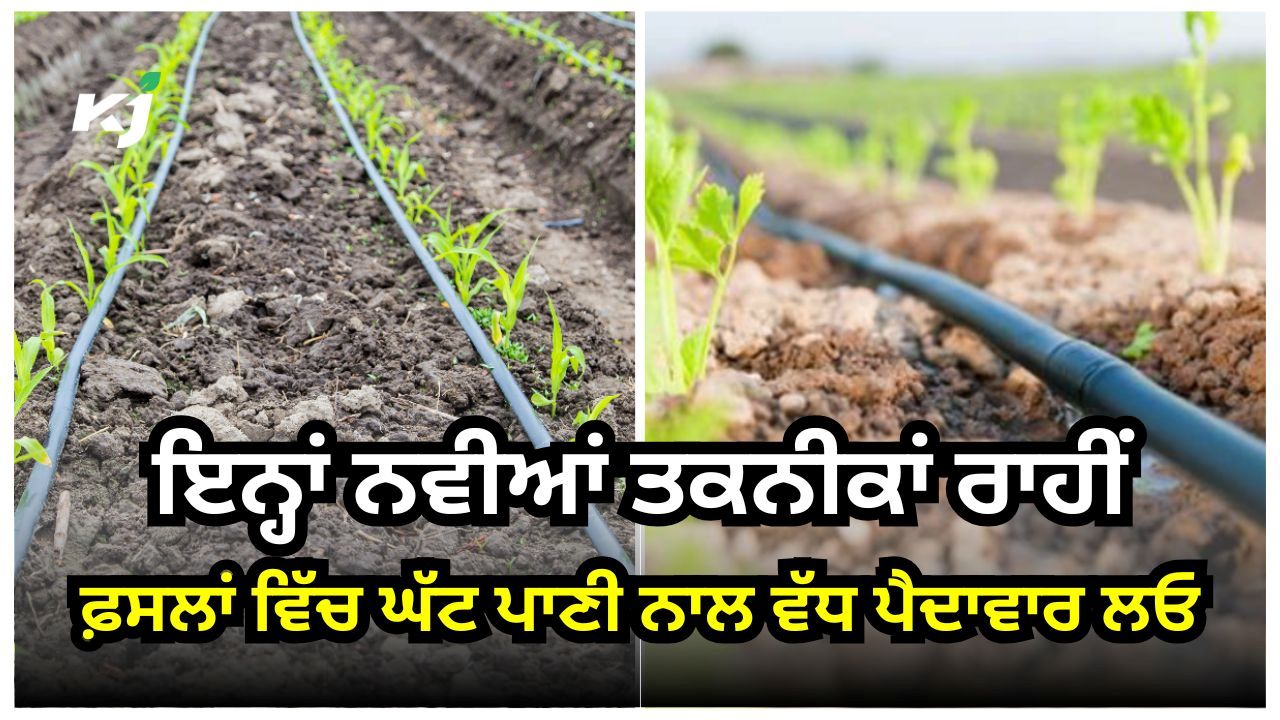 ਝੋਨੇ ਦੀ ਫ਼ਸਲ ਵਿੱਚ ਸਿੰਚਾਈ ਵਾਲੇ ਪਾਣੀ ਦੀ ਸੁਚੱਜੀ ਵਰਤੋਂ ਕਰਨ ਦਾ ਸੁਨੇਹਾ ਝੋਨੇ ਦੀ ਫ਼ਸਲ ਵਿੱਚ ਸਿੰਚਾਈ ਵਾਲੇ ਪਾਣੀ ਦੀ ਸੁਚੱਜੀ ਵਰਤੋਂ ਕਰਨ ਦਾ ਸੁਨੇਹਾ