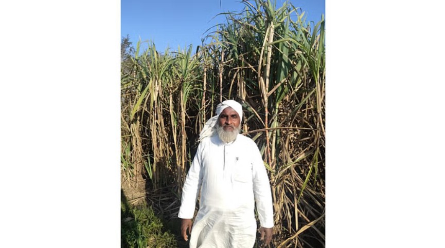 ਦੋਸਤ ਮੁਹੰਮਦ, ਉੱਤਰ ਪ੍ਰਦੇਸ਼ ਦੇ ਬਲਰਾਮਪੁਰ ਜ਼ਿਲ੍ਹੇ ਦਾ ਇੱਕ ਅਗਾਂਹਵਧੂ ਕਿਸਾਨ, ਫੋਟੋ ਸ਼ਿਸ਼ਟਾਚਾਰ: ਕ੍ਰਿਸ਼ੀ ਜਾਗਰਣ ਦੋਸਤ ਮੁਹੰਮਦ, ਉੱਤਰ ਪ੍ਰਦੇਸ਼ ਦੇ ਬਲਰਾਮਪੁਰ ਜ਼ਿਲ੍ਹੇ ਦਾ ਇੱਕ ਅਗਾਂਹਵਧੂ ਕਿਸਾਨ, ਫੋਟੋ ਸ਼ਿਸ਼ਟਾਚਾਰ: ਕ੍ਰਿਸ਼ੀ ਜਾਗਰਣ