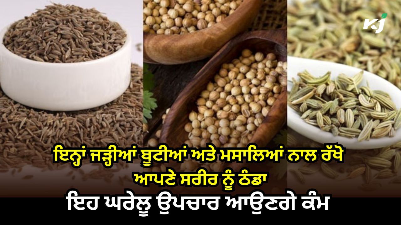 ਗਰਮੀ ਭਜਾਓ, ਸਿਹਤ ਪਾਓ ਗਰਮੀ ਭਜਾਓ, ਸਿਹਤ ਪਾਓ