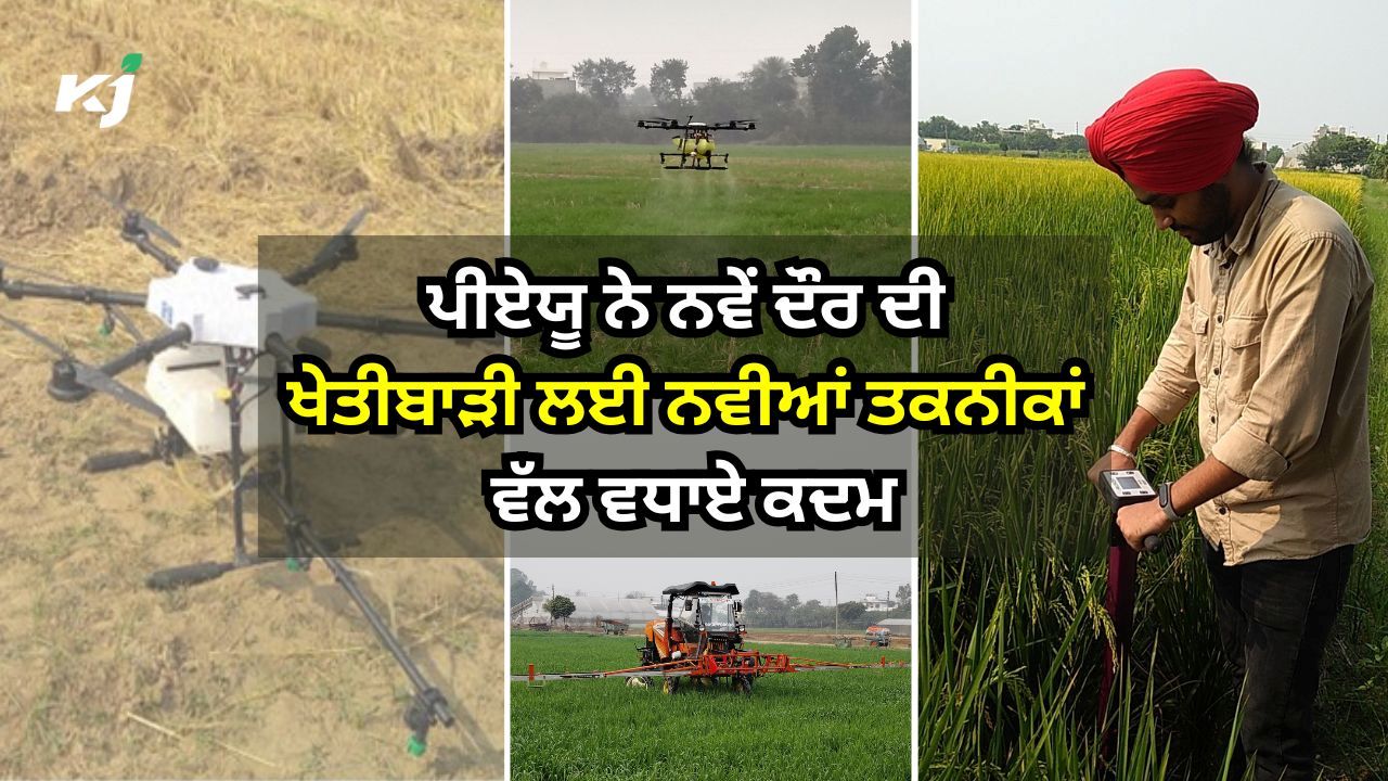 ਨਵੇਂ ਦੌਰ ਦੀ ਖੇਤੀਬਾੜੀ ਨਵੇਂ ਦੌਰ ਦੀ ਖੇਤੀਬਾੜੀ