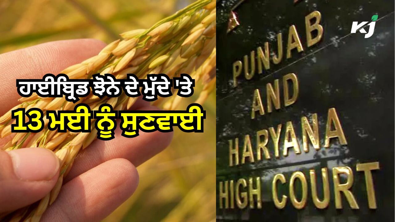 ਸੀਡ ਐਕਟ ਰਾਹੀਂ ਪੰਜਾਬ ਸਰਕਾਰ ਦੇ ਹੁਕਮਾਂ 'ਤੇ ਰੋਕ ਲਗਾ ਸਕਦੈ ਕੇਂਦਰ! ਸੀਡ ਐਕਟ ਰਾਹੀਂ ਪੰਜਾਬ ਸਰਕਾਰ ਦੇ ਹੁਕਮਾਂ 'ਤੇ ਰੋਕ ਲਗਾ ਸਕਦੈ ਕੇਂਦਰ!