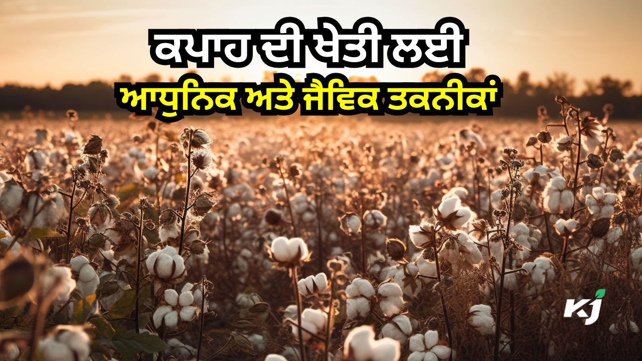 ਭਾਰਤ ਵਿੱਚ ਕਪਾਹ ਦੀ ਖੇਤੀ ਦੀਆਂ ਚੁਣੌਤੀਆਂ, ਹੱਲ ਅਤੇ ਸੰਭਾਵਨਾਵਾਂ ਭਾਰਤ ਵਿੱਚ ਕਪਾਹ ਦੀ ਖੇਤੀ ਦੀਆਂ ਚੁਣੌਤੀਆਂ, ਹੱਲ ਅਤੇ ਸੰਭਾਵਨਾਵਾਂ