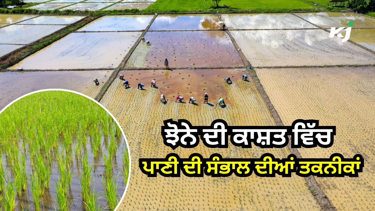 ਸੁਰੱਖਿਅਤ ਭਵਿੱਖ ਲਈ ਕੁਦਰਤੀ ਸੋਮੇ ਬਚਾਓ ਸੁਰੱਖਿਅਤ ਭਵਿੱਖ ਲਈ ਕੁਦਰਤੀ ਸੋਮੇ ਬਚਾਓ