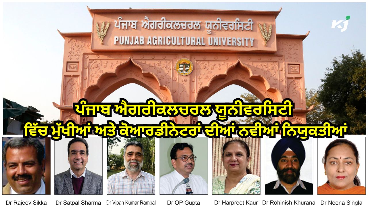 ਪੀ.ਏ.ਯੂ. ਦੇ ਪ੍ਰਬੰਧਕੀ ਬੋਰਡ ਵੱਲੋਂ ਵੱਖ-ਵੱਖ ਵਿਭਾਗਾਂ ਵਿੱਚ ਨਵੀਆਂ ਨਿਯੁਕਤੀਆਂ ਪੀ.ਏ.ਯੂ. ਦੇ ਪ੍ਰਬੰਧਕੀ ਬੋਰਡ ਵੱਲੋਂ ਵੱਖ-ਵੱਖ ਵਿਭਾਗਾਂ ਵਿੱਚ ਨਵੀਆਂ ਨਿਯੁਕਤੀਆਂ