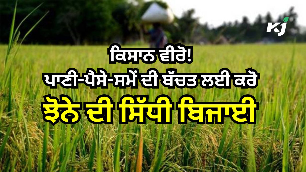 ਝੋਨੇ ਦੀ ਸਿੱਧੀ ਬਿਜਾਈ (DSR Technique) ਝੋਨੇ ਦੀ ਸਿੱਧੀ ਬਿਜਾਈ (DSR Technique)