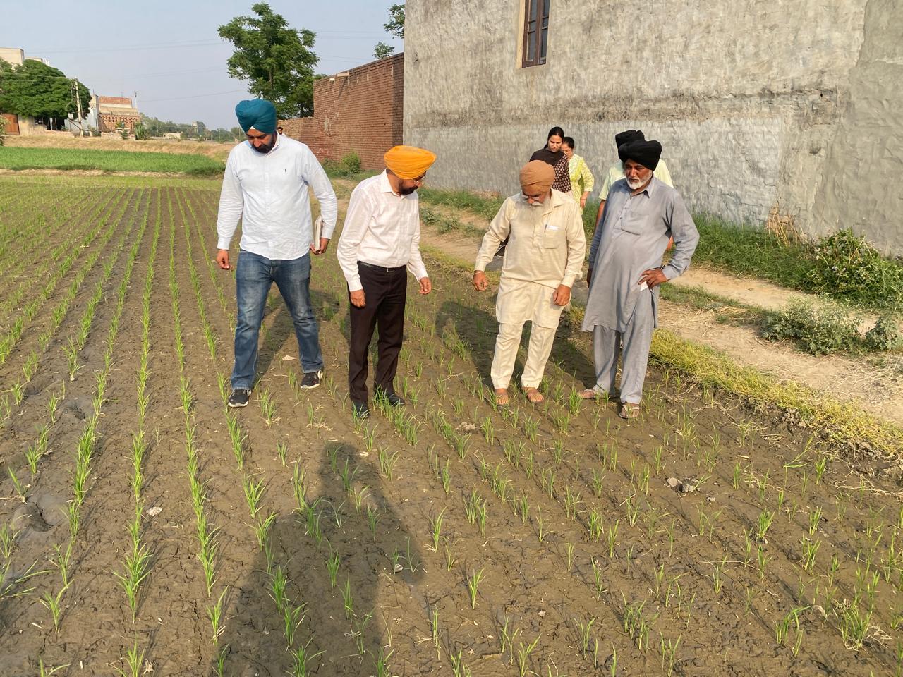 ਸੰਗਰੂਰ ਦੇ ਪਿੰਡ ਗੱਗੜਪੁਰ ਵਿਖੇ ਕਿਸਾਨ ਸਿਖਲਾਈ ਕੈਂਪ ਦਾ ਆਯੋਜਨ ਸੰਗਰੂਰ ਦੇ ਪਿੰਡ ਗੱਗੜਪੁਰ ਵਿਖੇ ਕਿਸਾਨ ਸਿਖਲਾਈ ਕੈਂਪ ਦਾ ਆਯੋਜਨ