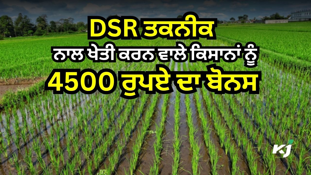 ਹਰਿਆਣਾ ਦੇ ਕਿਸਾਨਾਂ ਲਈ ਵੱਡੀ ਖੁਸ਼ਖਬਰੀ ਹਰਿਆਣਾ ਦੇ ਕਿਸਾਨਾਂ ਲਈ ਵੱਡੀ ਖੁਸ਼ਖਬਰੀ