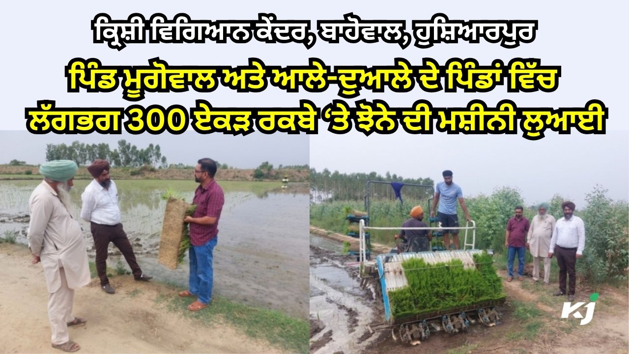 ਝੋਨੇ ਦੀ ਮਸ਼ੀਨੀ ਲੁਆਈ ਝੋਨੇ ਦੀ ਮਸ਼ੀਨੀ ਲੁਆਈ