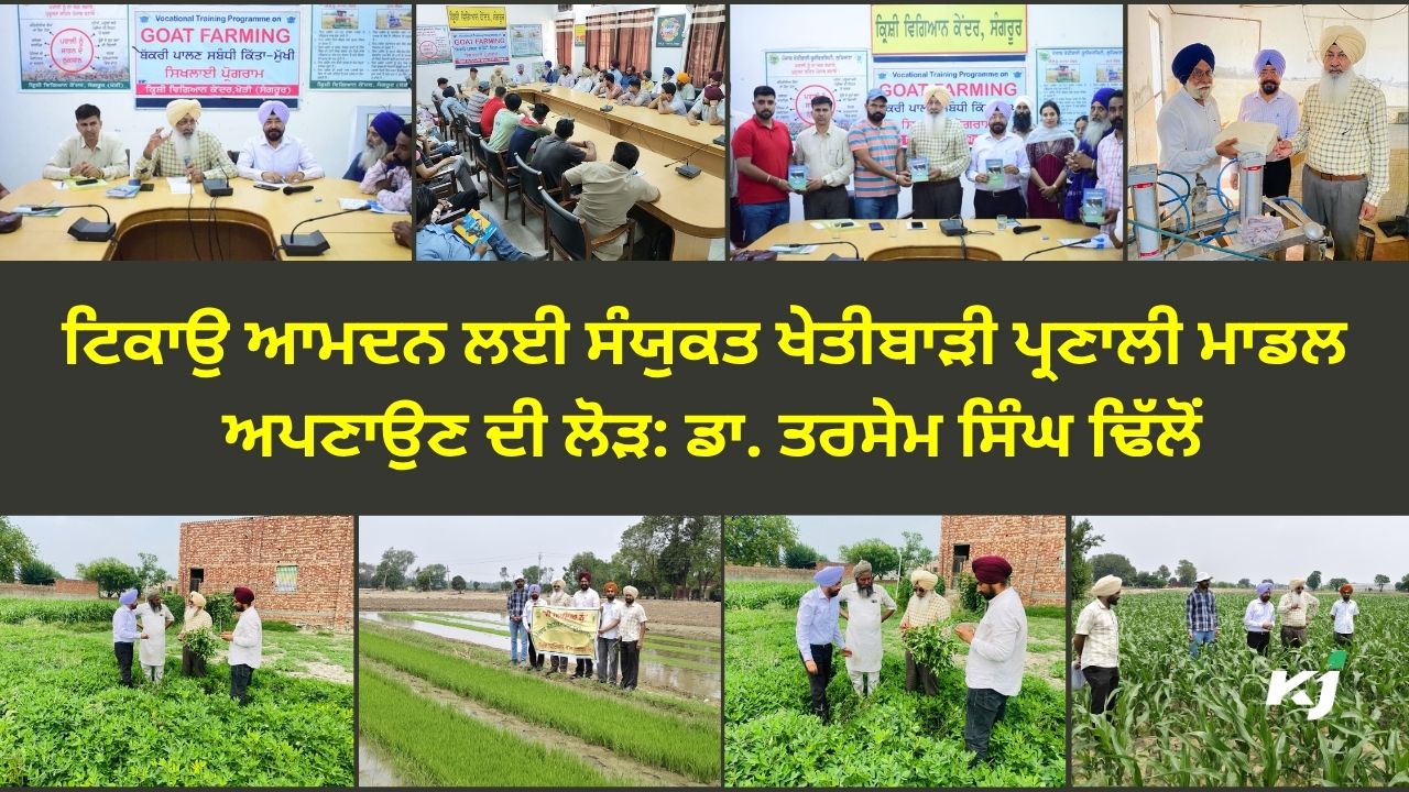 ਕ੍ਰਿਸ਼ੀ ਵਿਗਿਆਨ ਕੇਂਦਰ, ਸੰਗਰੂਰ ਵਿਖੇ ਬੱਕਰੀ ਪਾਲਣ ਸੰਬੰਧੀ ਕਿੱਤਾਮੁਖੀ ਸਿਖਲਾਈ ਕੋਰਸ ਕ੍ਰਿਸ਼ੀ ਵਿਗਿਆਨ ਕੇਂਦਰ, ਸੰਗਰੂਰ ਵਿਖੇ ਬੱਕਰੀ ਪਾਲਣ ਸੰਬੰਧੀ ਕਿੱਤਾਮੁਖੀ ਸਿਖਲਾਈ ਕੋਰਸ