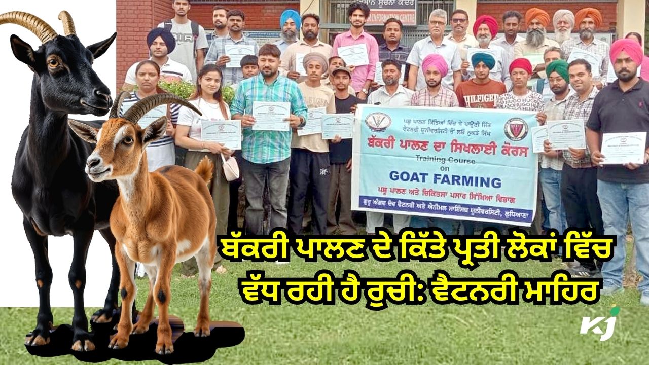 ਬੱਕਰੀ ਪਾਲਣ ਸਿਖਲਾਈ ਕੋਰਸ ਸੰਪੂਰਨ ਬੱਕਰੀ ਪਾਲਣ ਸਿਖਲਾਈ ਕੋਰਸ ਸੰਪੂਰਨ
