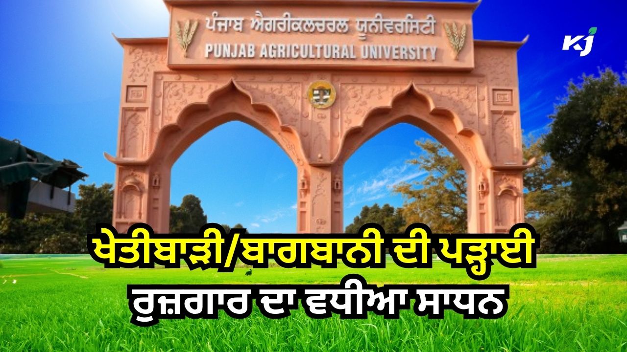 ਪੰਜਾਬ ਖੇਤੀਬਾੜੀ ਯੂਨੀਵਰਸਿਟੀ, ਲੁਧਿਆਣਾ ਵਿਖੇ ਖੇਤੀਬਾੜੀ/ਬਾਗਬਾਨੀ ਸੰਬੰਧੀ ਕੋਰਸ ਪੰਜਾਬ ਖੇਤੀਬਾੜੀ ਯੂਨੀਵਰਸਿਟੀ, ਲੁਧਿਆਣਾ ਵਿਖੇ ਖੇਤੀਬਾੜੀ/ਬਾਗਬਾਨੀ ਸੰਬੰਧੀ ਕੋਰਸ