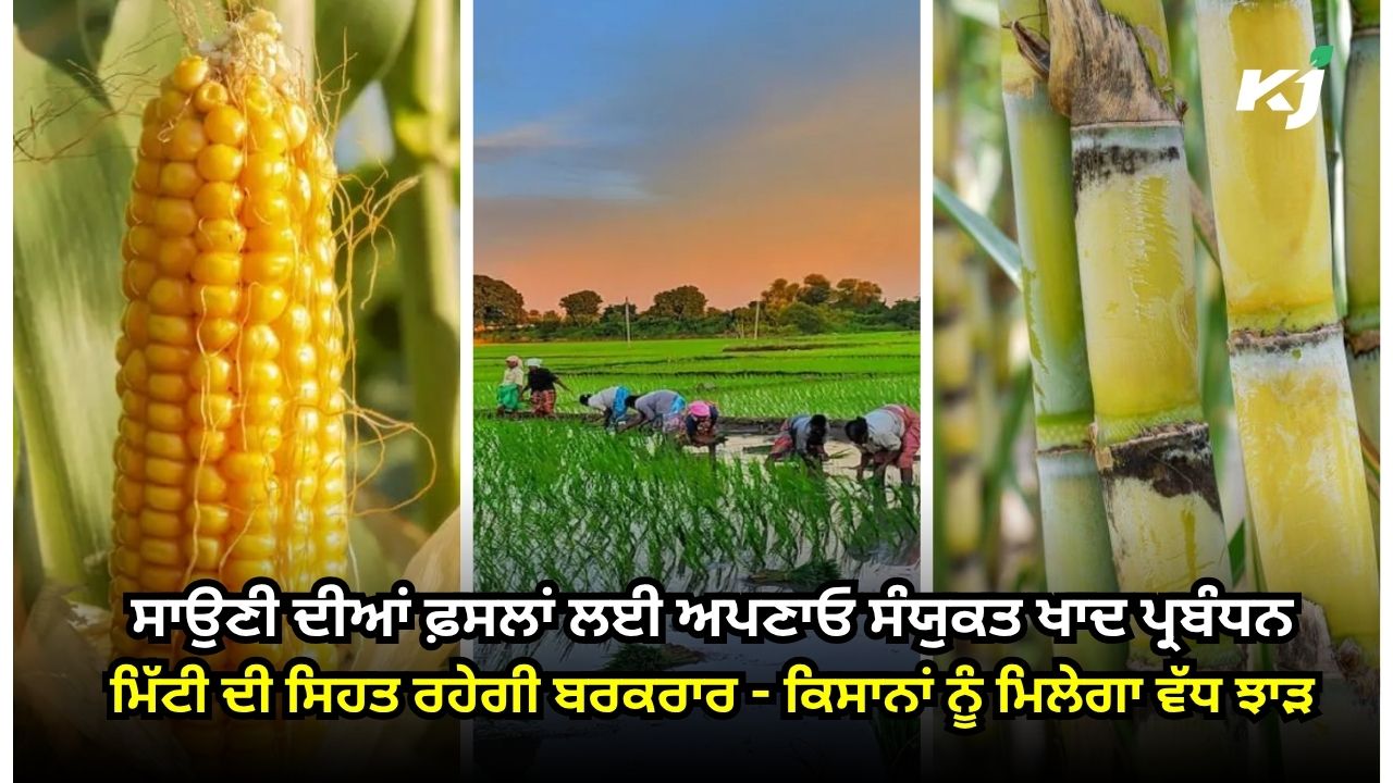 ਆਧੁਨਿਕ ਖੇਤੀ ਵਿੱਚ ਫ਼ਸਲਾਂ ਦੀ ਉੱਚ ਪੈਦਾਵਾਰ ਲਈ ਖਾਦਾਂ ਦੀ ਅਹਿਮ ਭੂਮਿਕਾ ਆਧੁਨਿਕ ਖੇਤੀ ਵਿੱਚ ਫ਼ਸਲਾਂ ਦੀ ਉੱਚ ਪੈਦਾਵਾਰ ਲਈ ਖਾਦਾਂ ਦੀ ਅਹਿਮ ਭੂਮਿਕਾ