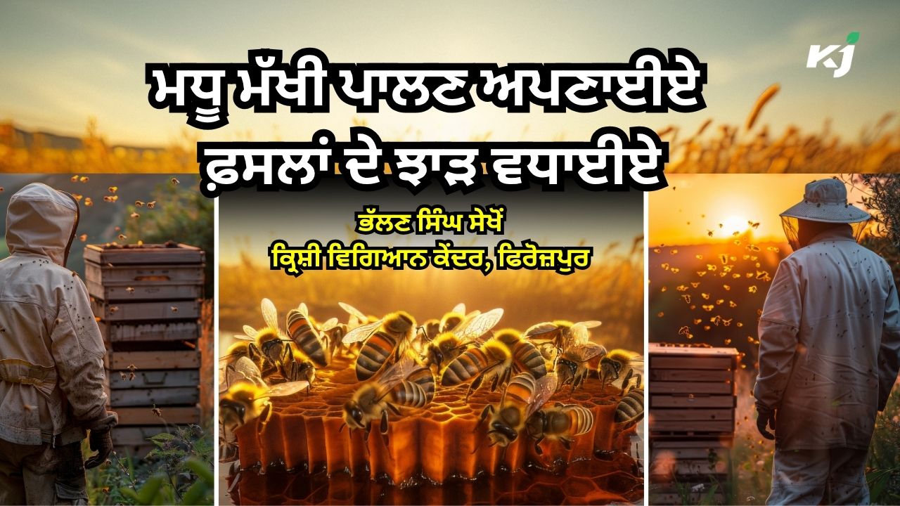 ਮਧੂ ਮੱਖੀ ਪਾਲਣ ਮਧੂ ਮੱਖੀ ਪਾਲਣ