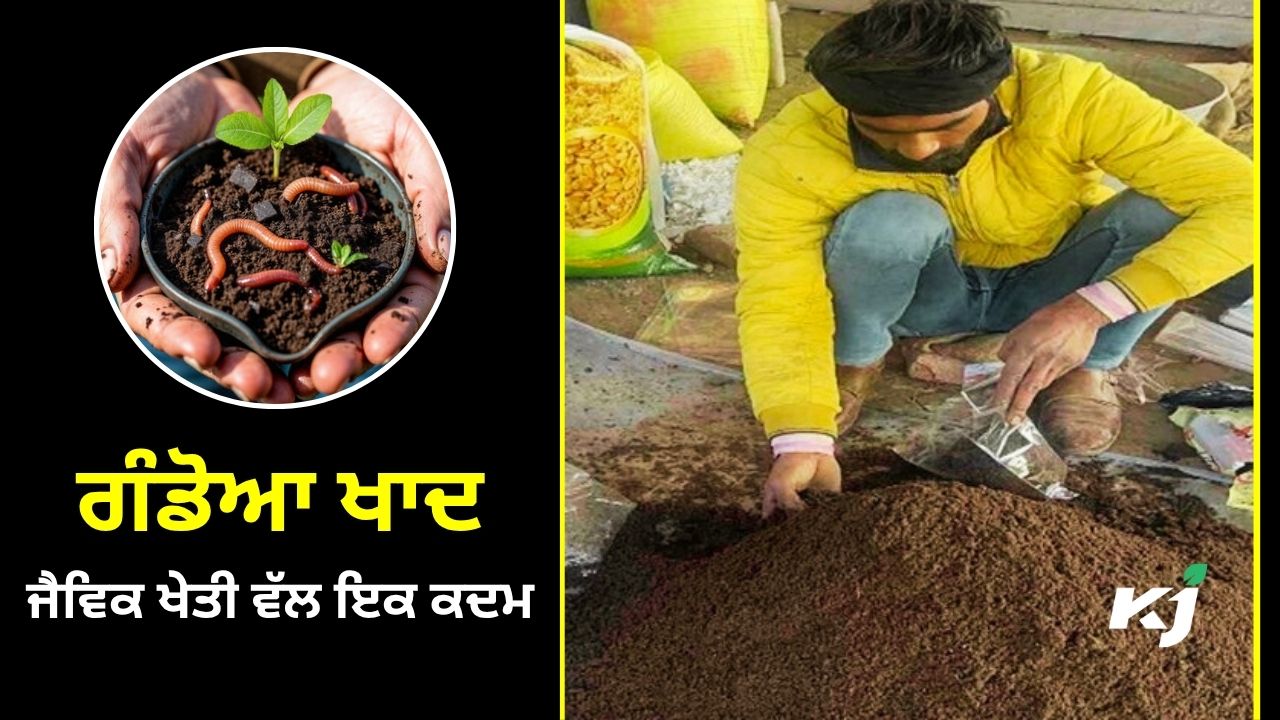 ਗੰਡੋਆਂ ਖਾਦ ਤਿਆਰ ਕਰਨ ਦੀ ਵਿਧੀ