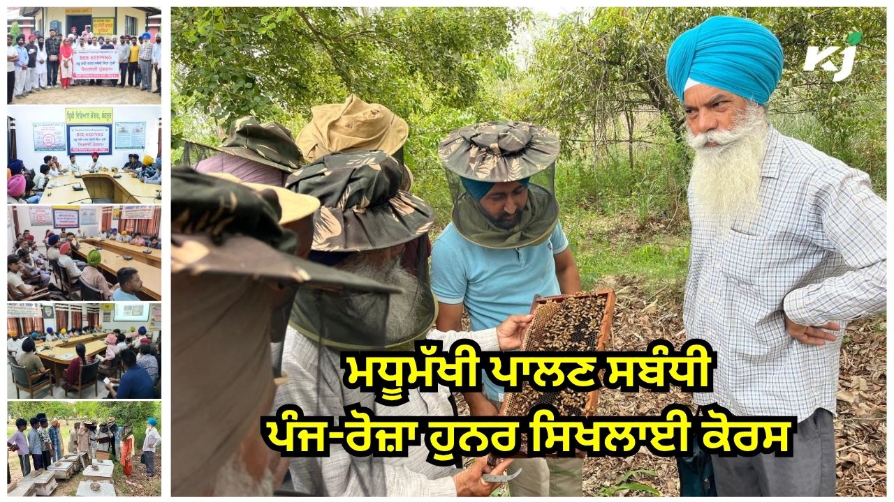 ਕ੍ਰਿਸ਼ੀ ਵਿਗਿਆਨ ਕੇਂਦਰ, ਸੰਗਰੂਰ ਵੱਲੋਂ ਪੰਜ-ਰੋਜ਼ਾ ਹੁਨਰ ਸਿਖਲਾਈ ਕੋਰਸ ਕ੍ਰਿਸ਼ੀ ਵਿਗਿਆਨ ਕੇਂਦਰ, ਸੰਗਰੂਰ ਵੱਲੋਂ ਪੰਜ-ਰੋਜ਼ਾ ਹੁਨਰ ਸਿਖਲਾਈ ਕੋਰਸ
