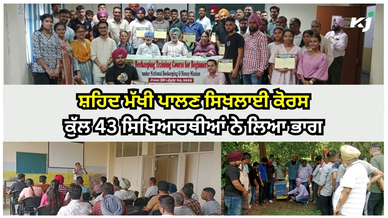 ਮਧੂ-ਮੱਖੀ ਪਾਲਣ ਸਿਖਲਾਈ ਕੋਰਸ ਮਧੂ-ਮੱਖੀ ਪਾਲਣ ਸਿਖਲਾਈ ਕੋਰਸ