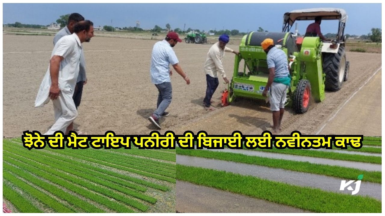ਪੀ.ਏ.ਯੂ. ਟਰੈਕਟਰ ਚਲਿਤ ਝੋਨੇ ਦੀ ਮੈਟ ਟਾਇਪ ਨਰਸਰੀ ਸੀਡਰ ਪੀ.ਏ.ਯੂ. ਟਰੈਕਟਰ ਚਲਿਤ ਝੋਨੇ ਦੀ ਮੈਟ ਟਾਇਪ ਨਰਸਰੀ ਸੀਡਰ