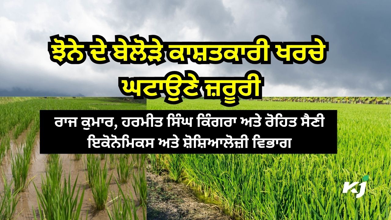 ਝੋਨੇ ਦੀ ਕਾਸ਼ਤ ਤੋਂ ਵਧੇਰੇ ਮੁਨਾਫ਼ਾ ਲੈਣ ਦੇ ਨੁਕਤੇ ਝੋਨੇ ਦੀ ਕਾਸ਼ਤ ਤੋਂ ਵਧੇਰੇ ਮੁਨਾਫ਼ਾ ਲੈਣ ਦੇ ਨੁਕਤੇ
