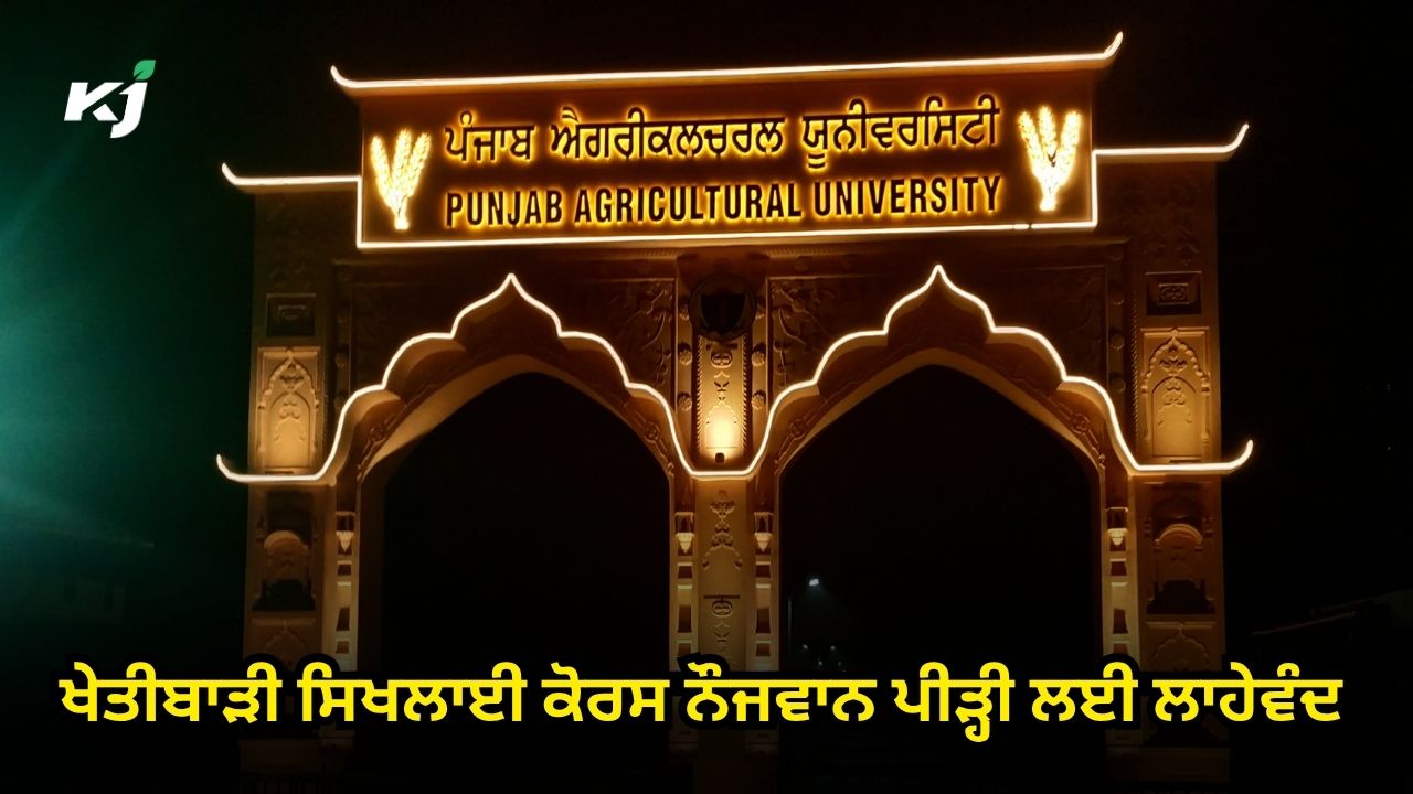 ਨੌਜਵਾਨ ਕਿਸਾਨਾਂ ਲਈ ਤਿੰਨ ਮਹੀਨੇ ਦਾ ਸਰਵਪੱਖੀ ਫਸਲ ਉਤਪਾਦਨ ਸਿਖਲਾਈ ਕੋਰਸ ਨੌਜਵਾਨ ਕਿਸਾਨਾਂ ਲਈ ਤਿੰਨ ਮਹੀਨੇ ਦਾ ਸਰਵਪੱਖੀ ਫਸਲ ਉਤਪਾਦਨ ਸਿਖਲਾਈ ਕੋਰਸ