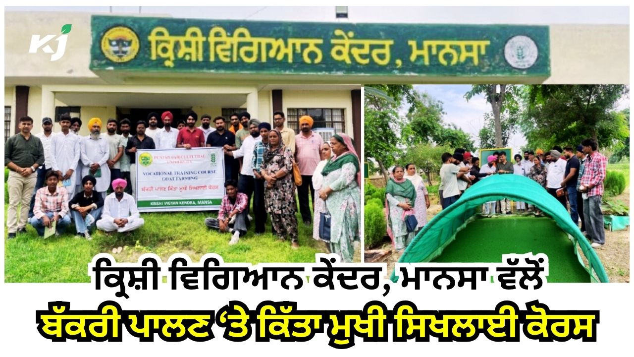 ਸਿਖਲਾਈ ਕੋਰਸ ਵਿੱਚ ਮਾਨਸਾ ਜ਼ਿਲ੍ਹੇ ਤੋਂ 35 ਉਮੀਦਵਾਰਾਂ ਨੇ ਲਿਆ ਭਾਗ