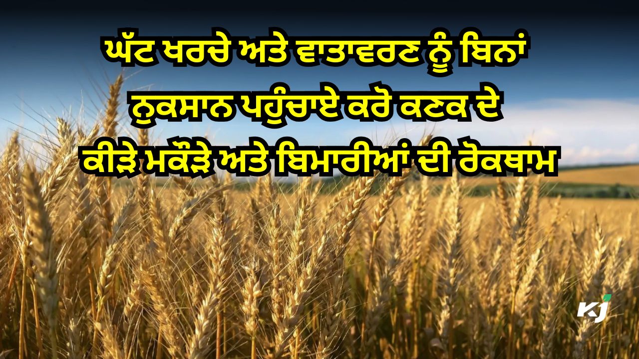 ਫਸਲ ਦੇ ਉਤਪਾਦਨ ਵਿੱਚ ਵਾਧਾ ਬਣਾਓ ਯਕੀਨੀ