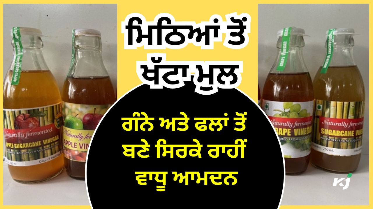 ਆਓ ਤਿਆਰ ਕਰੀਏ ਸਿਹਤ ਭਰਪੂਰ ਕੁਦਰਤੀ ਸਿਰਕਾ