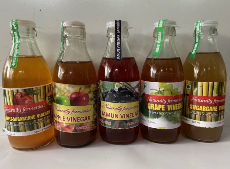 ਪੀ ਏ ਯੂ ਵਲੋਂ ਸਿਫਾਰਿਸ਼ ਕਿਤੇ ਪੰਜ ਤਰ੍ਹਾਂ ਦੇ ਕੁਦਰਤੀ ਸਿਰਕੇ: ਗੰਨਾ, ਅੰਗੂਰ, ਜਾਮਣ, ਸੇਬ, ਅਤੇ ਸੇਬ-ਗੰਨਾ