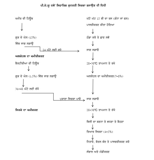 ਕੁਦਰਤੀ ਸਿਰਕਾ ਬਣਾਉਣ ਦੀ ਵਿਧੀ