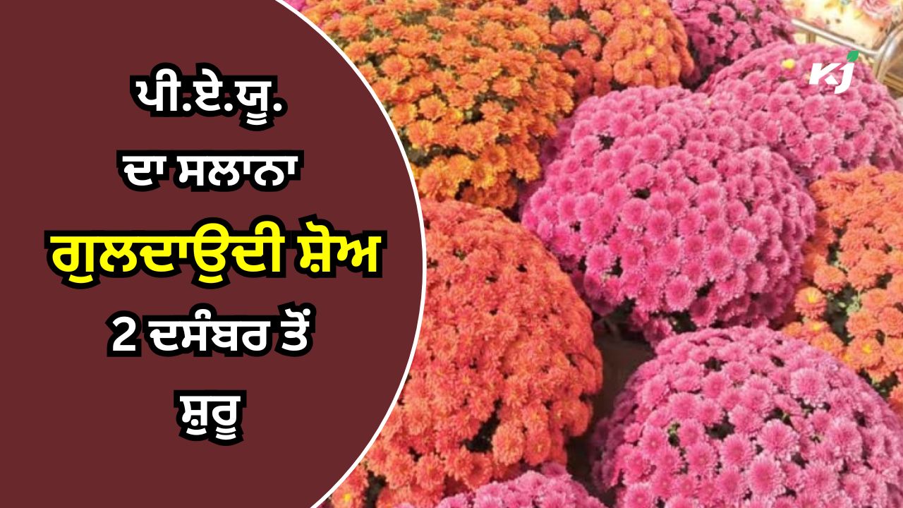 28ਵਾਂ ਸਲਾਨਾ ਗੁਲਦਾਉਦੀ ਸ਼ੋਅ