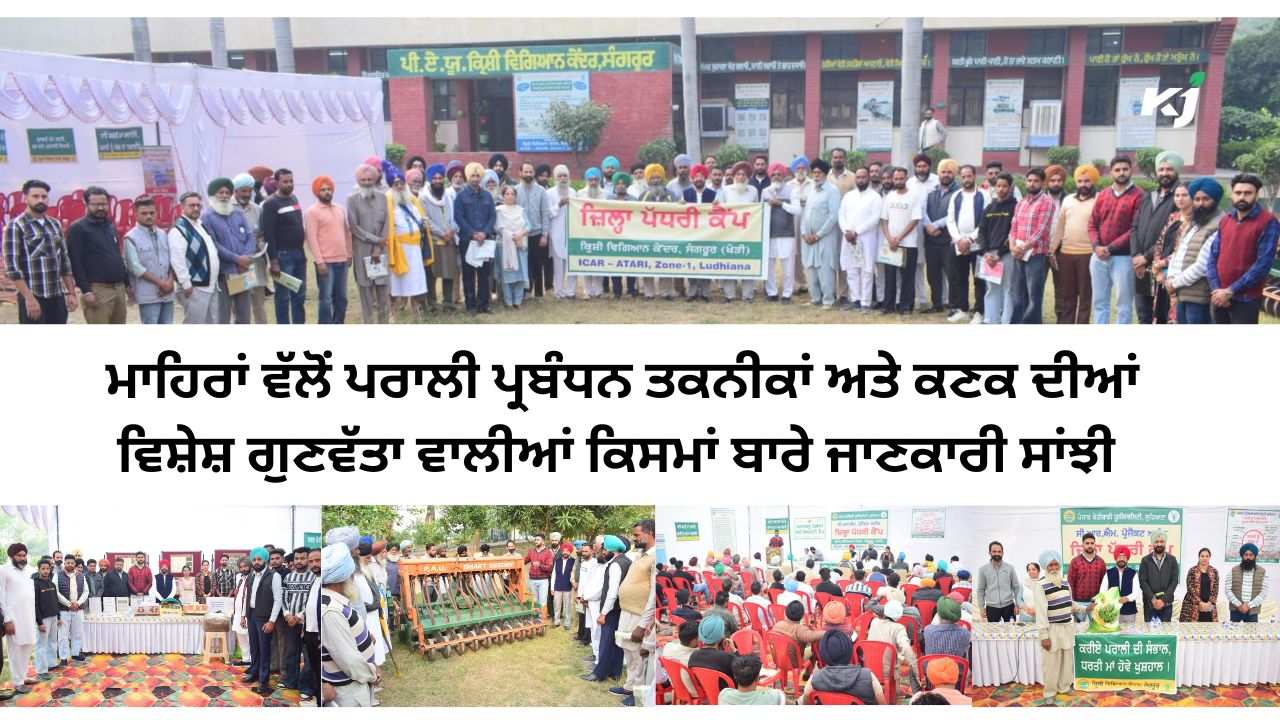 ਪੀ.ਏ.ਯੂ.-ਕ੍ਰਿਸ਼ੀ ਵਿਗਿਆਨ ਕੇਂਦਰ, ਸੰਗਰੂਰ ਵੱਲੋਂ ਜ਼ਿਲ੍ਹਾ ਪੱਧਰੀ ਕੈਂਪ ਦਾ ਆਯੋਜਨ