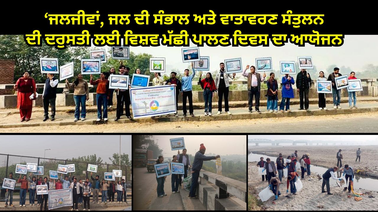 ਵੈਟਨਰੀ ਯੂਨੀਵਰਸਿਟੀ ਨੇ ਮਨਾਇਆ ਵਿਸ਼ਵ ਮੱਛੀ ਪਾਲਣ ਦਿਵਸ