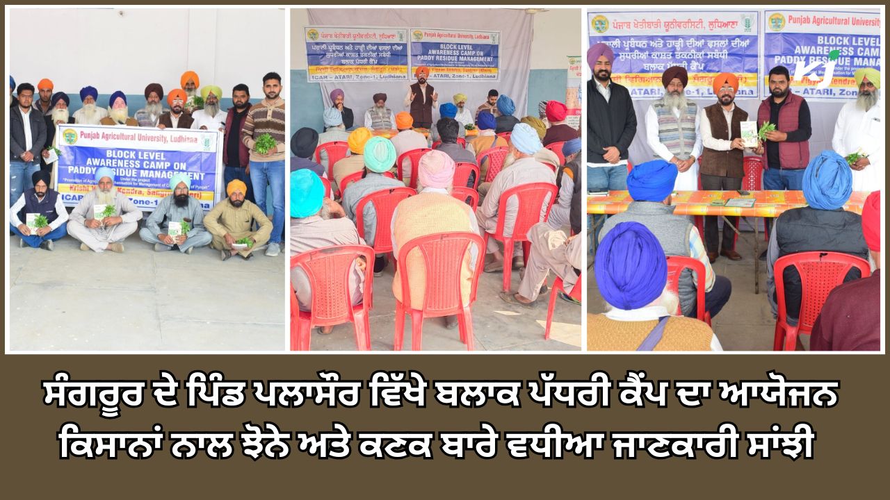 ਸੰਗਰੂਰ ਦੇ ਪਿੰਡ ਪਲਾਸੌਰ ਵਿੱਖੇ ਬਲਾਕ ਪੱਧਰੀ ਕੈਂਪ ਦਾ ਆਯੋਜਨ