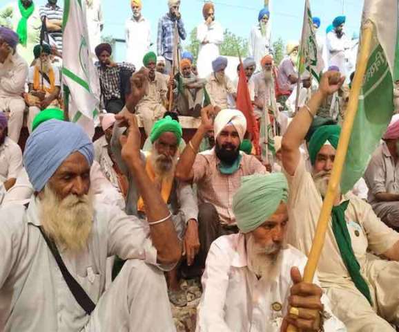 Punjab Farmer Protest