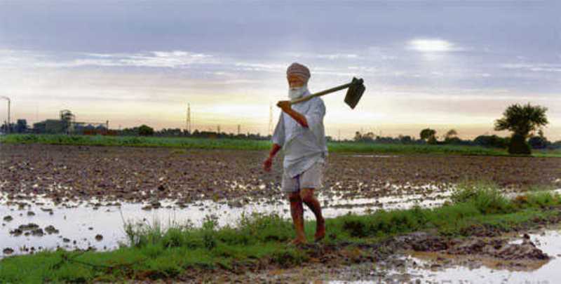 Punjab Farmer
