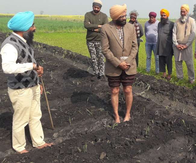 Punjab Farmer